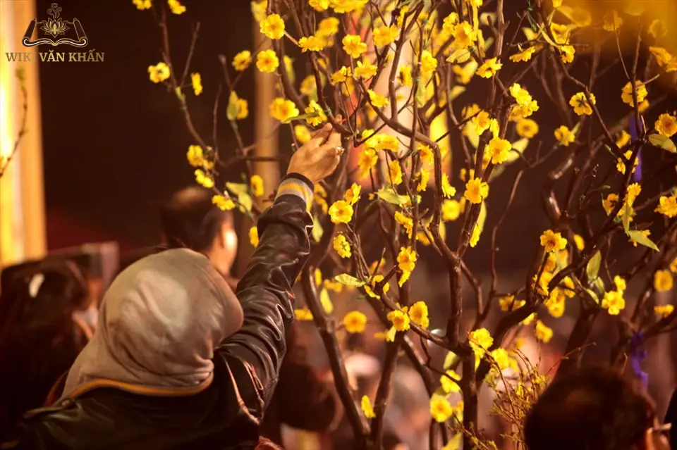 ảnh lấy lộc đ&ecirc;m giao thừa